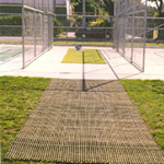 cricket_fp