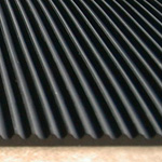 rib_fp