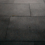 stable_boxes_fp